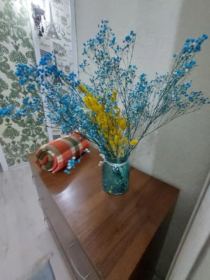 2 Комнатная Квартира В Центре Алматы Apartment Almaty